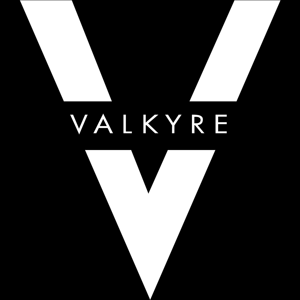 THIS IS NOT LOUIS VUITTON' VALKYRE JACKET – Valkyre India