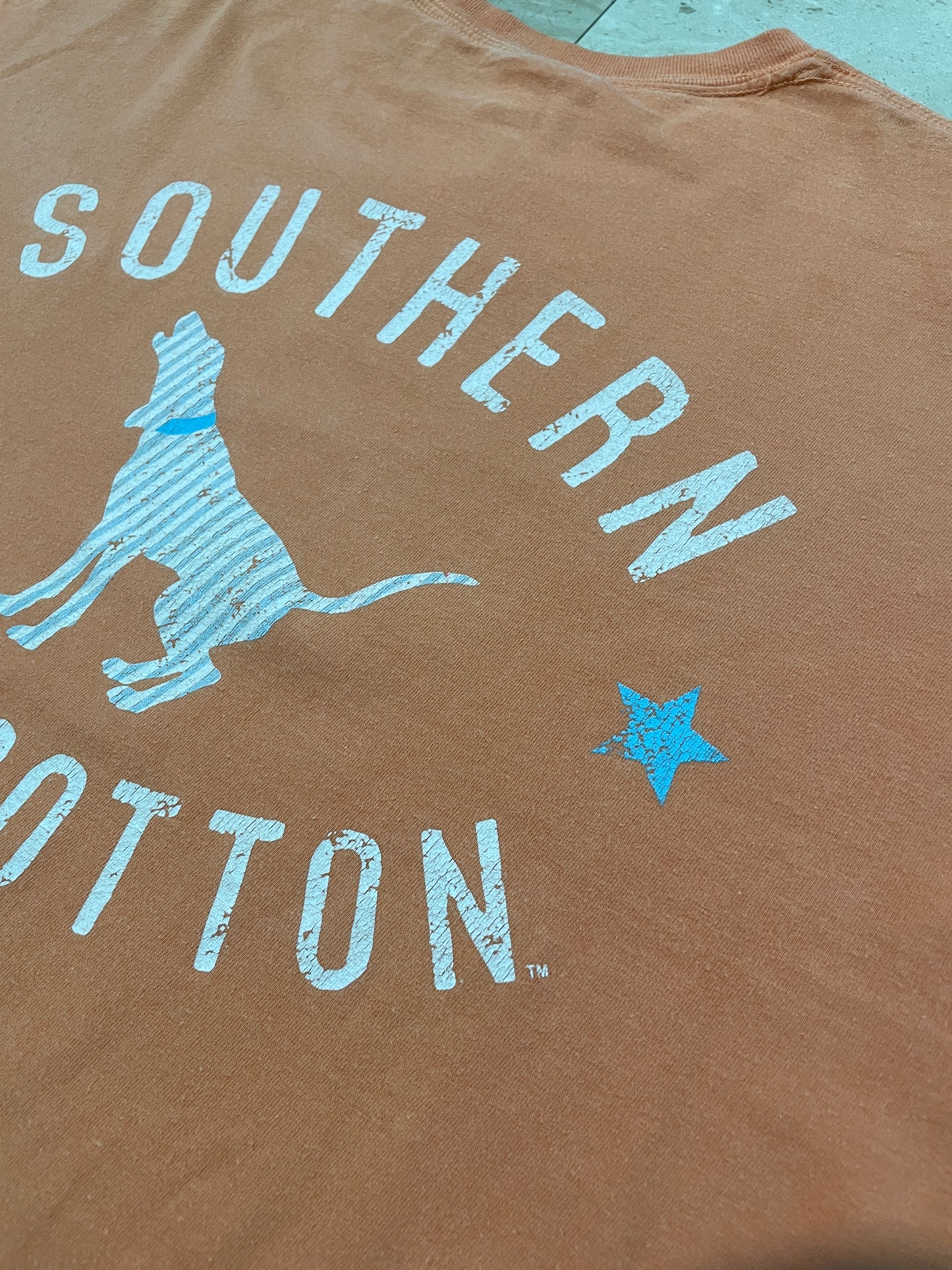 Comfort Colors Vintage Orange T-Shirt