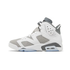Air Jordan 6 Retro Cool Grey