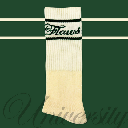 Flaws University Socks