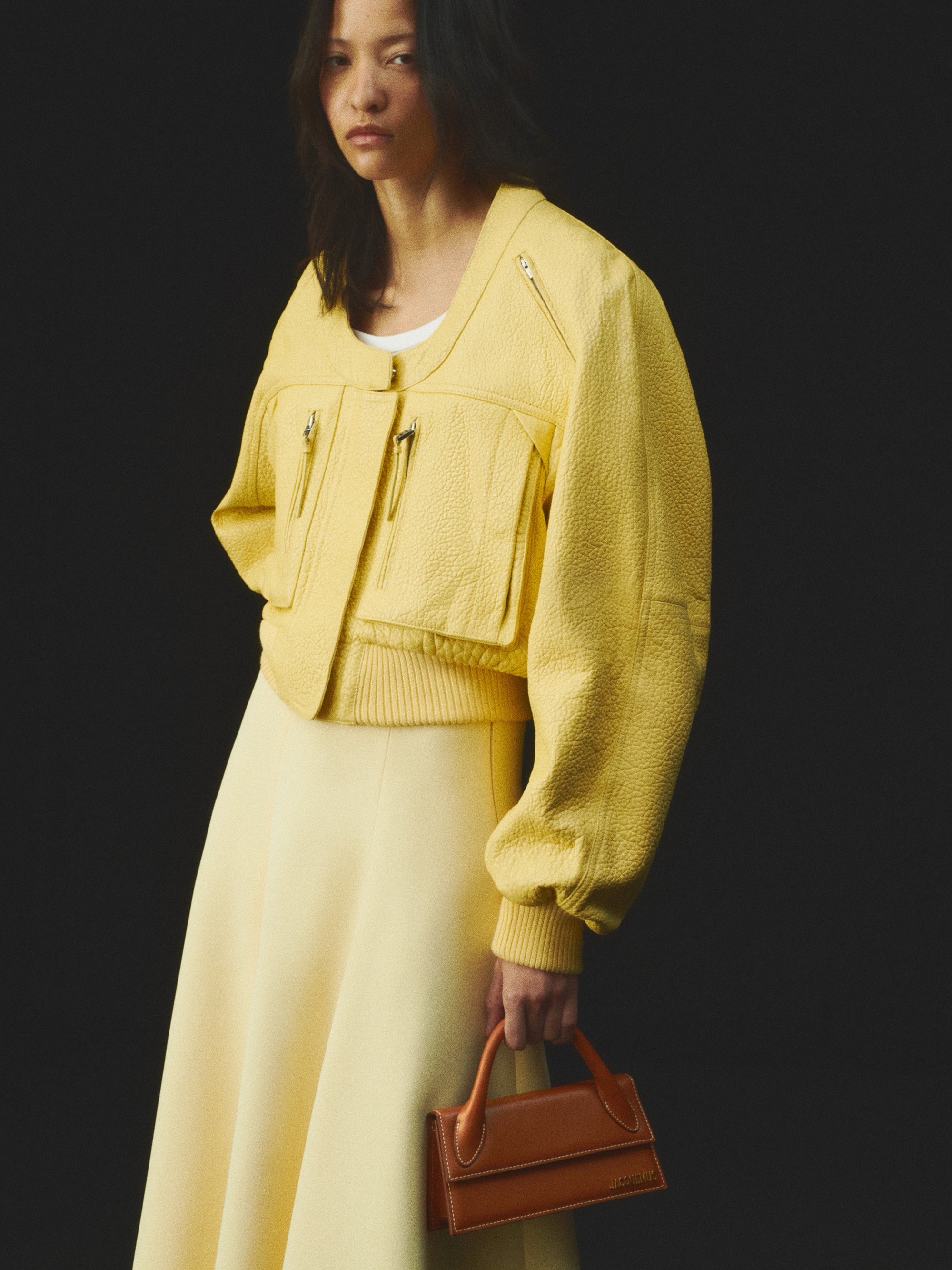 Jacquemus The Long Chiquito Bag - Light Brown