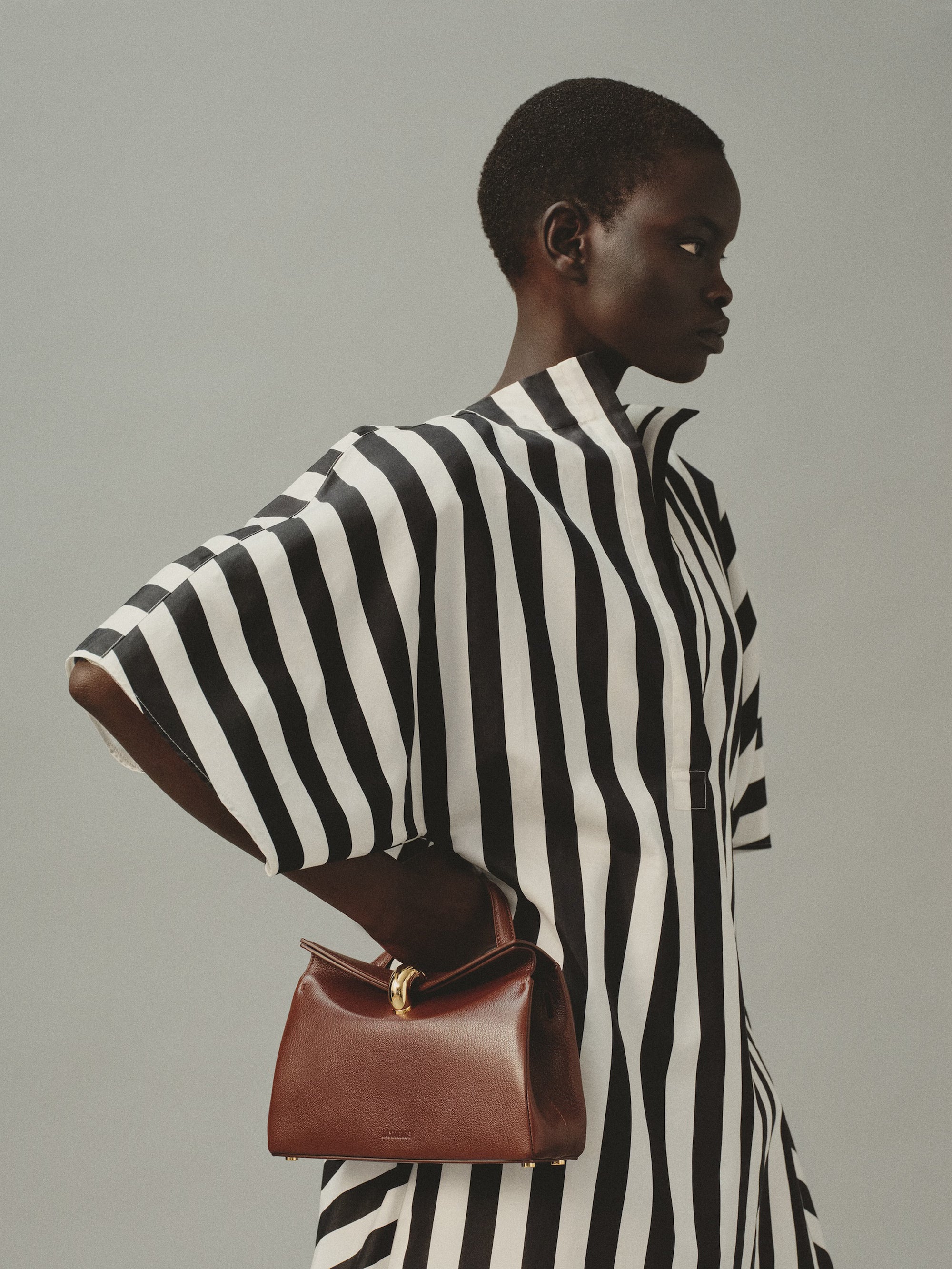 Jacquemus The Small Valérie Bag - Brown