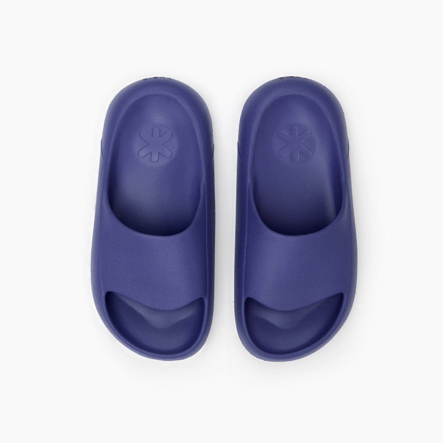 Ludic Slides Purple Pyaaz