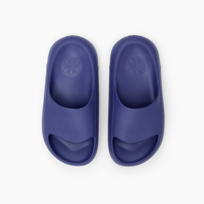 Ludic Slides Purple Pyaaz