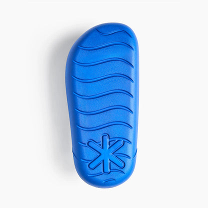 Ludic Slides Jamun Blue