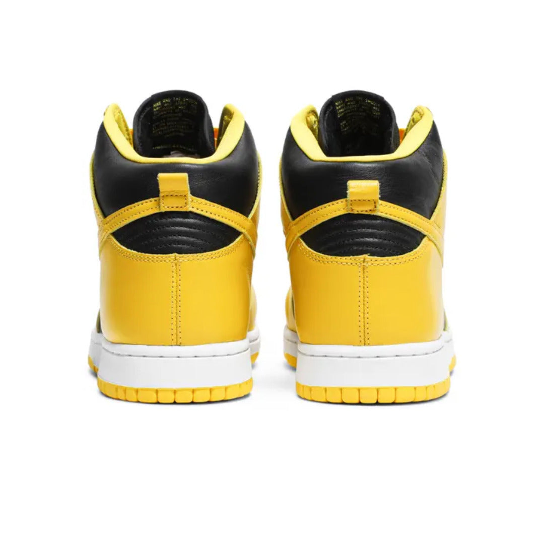 Nike Dunk High Iowa (2020)