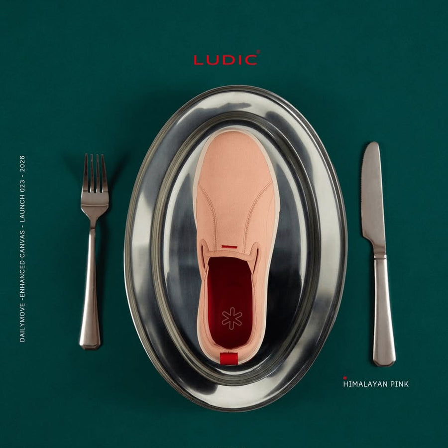 Ludic