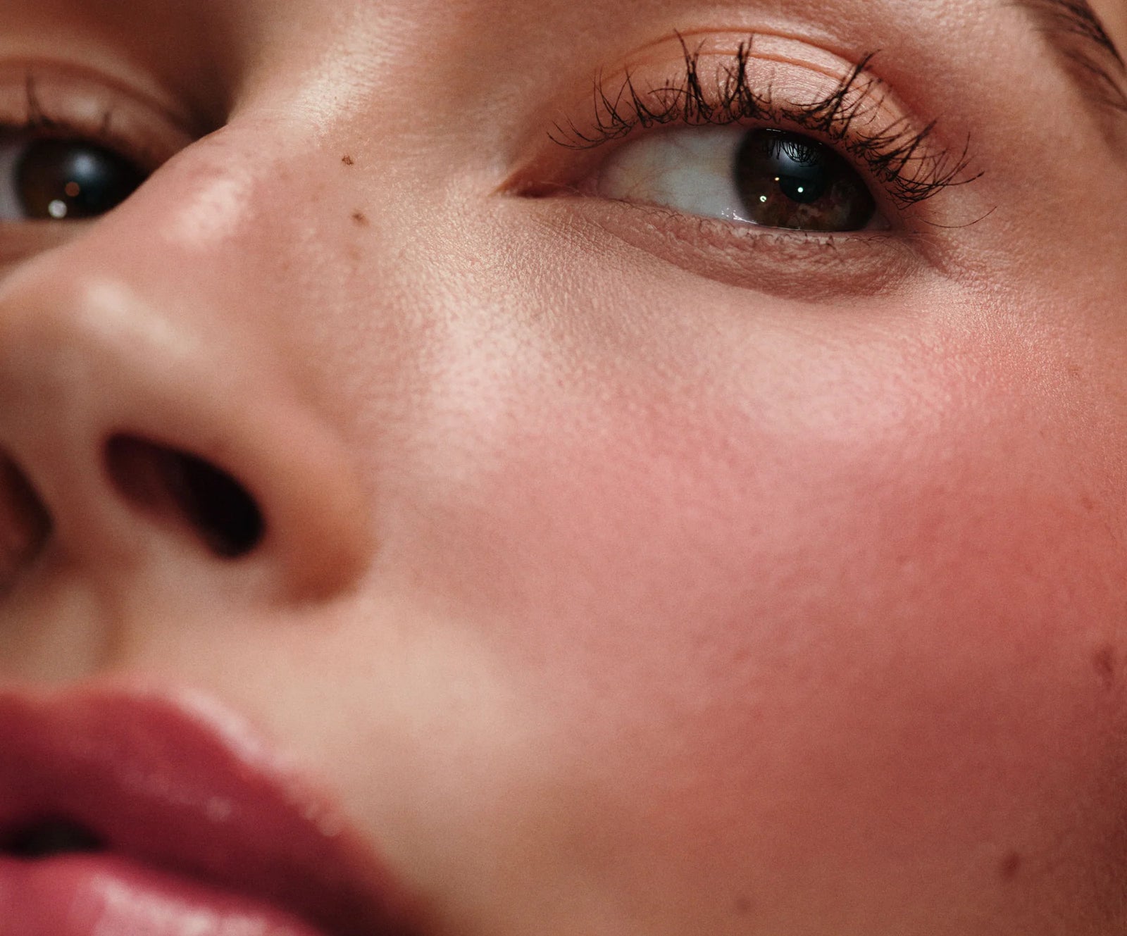 Rhode Neutral Peach Pocket Blush - Freckle