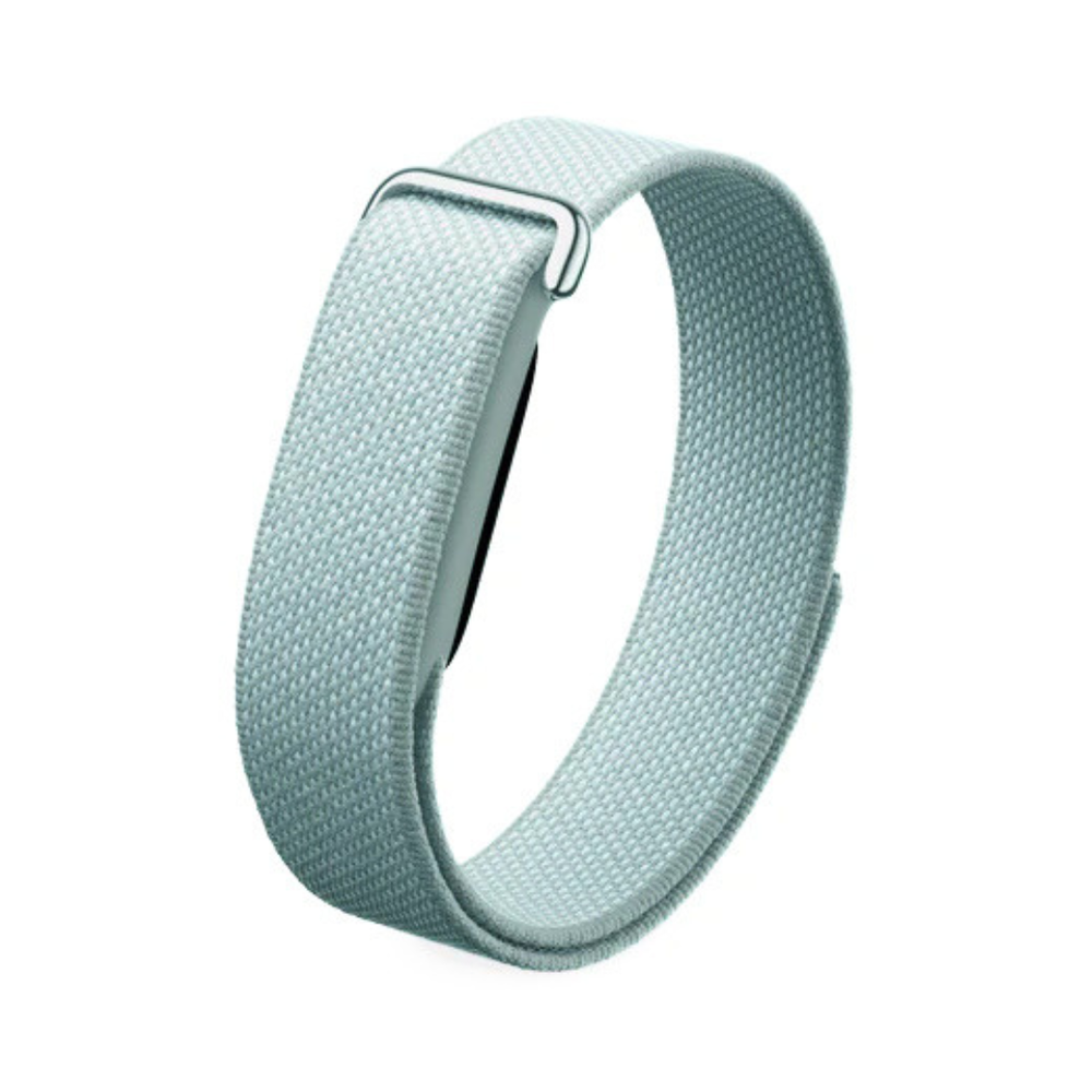 Google Fitbit Air Classic - Fog