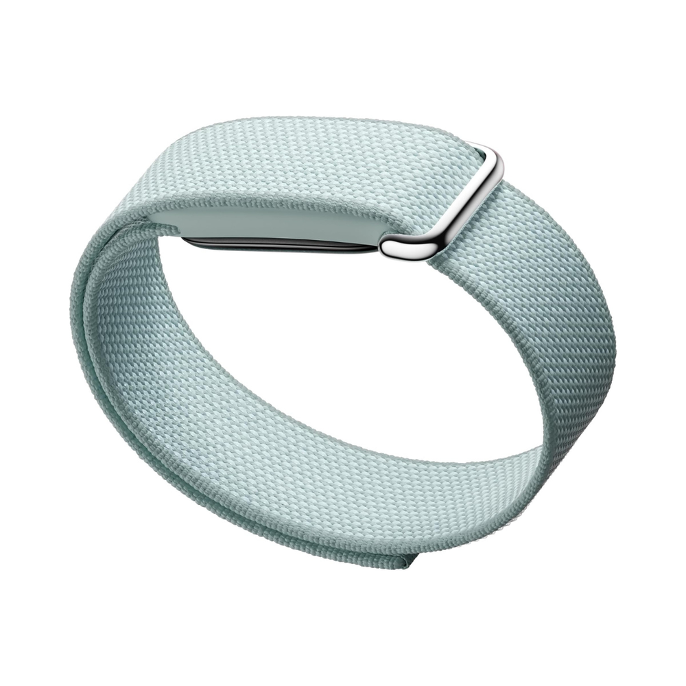 Google Fitbit Air Classic - Fog