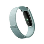 Google Fitbit Air Classic - Fog
