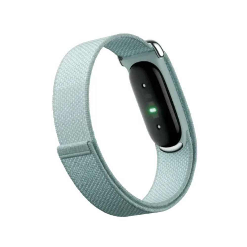 Google Fitbit Air Classic - Fog
