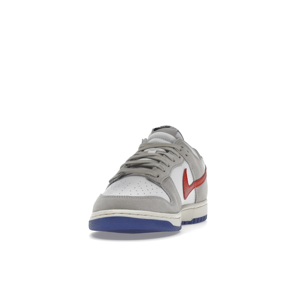 Nike Dunk Low Light Iron Ore Red Blue