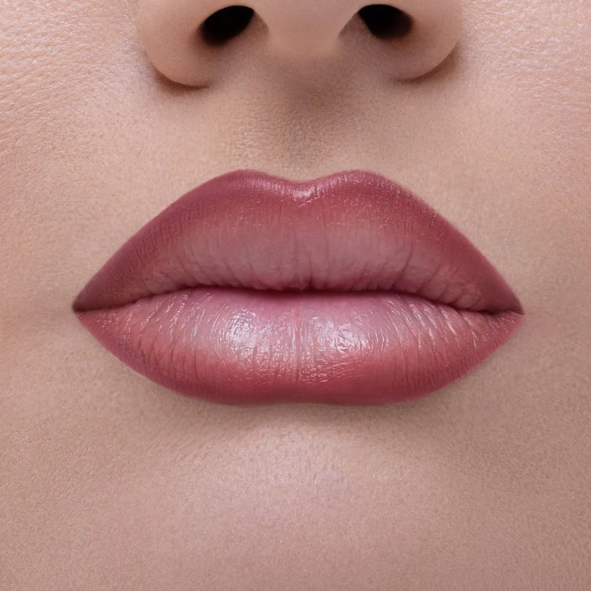 Natasha Denona I Need A Nude Lip Crayon - Renee