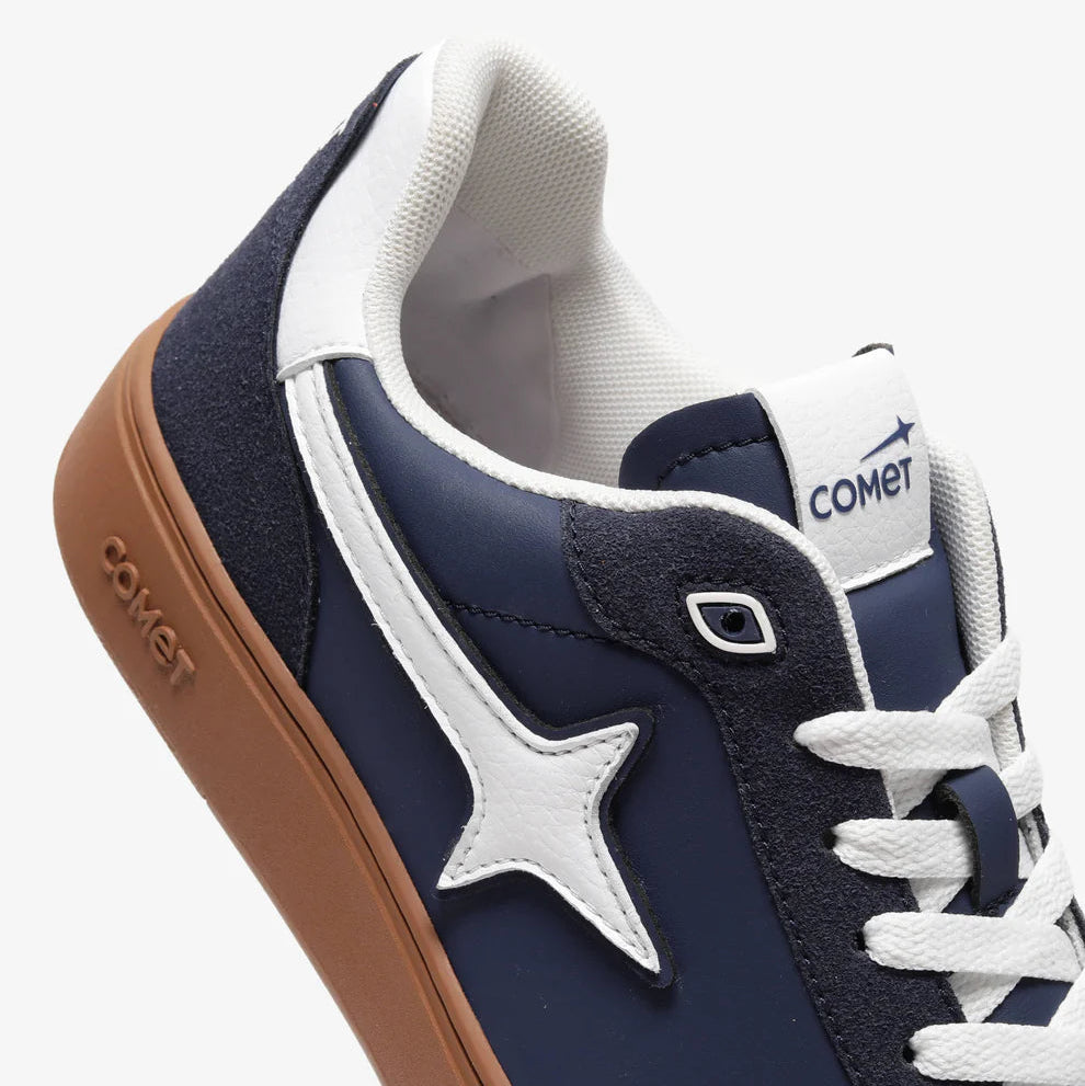 Comet Alter Frenchman