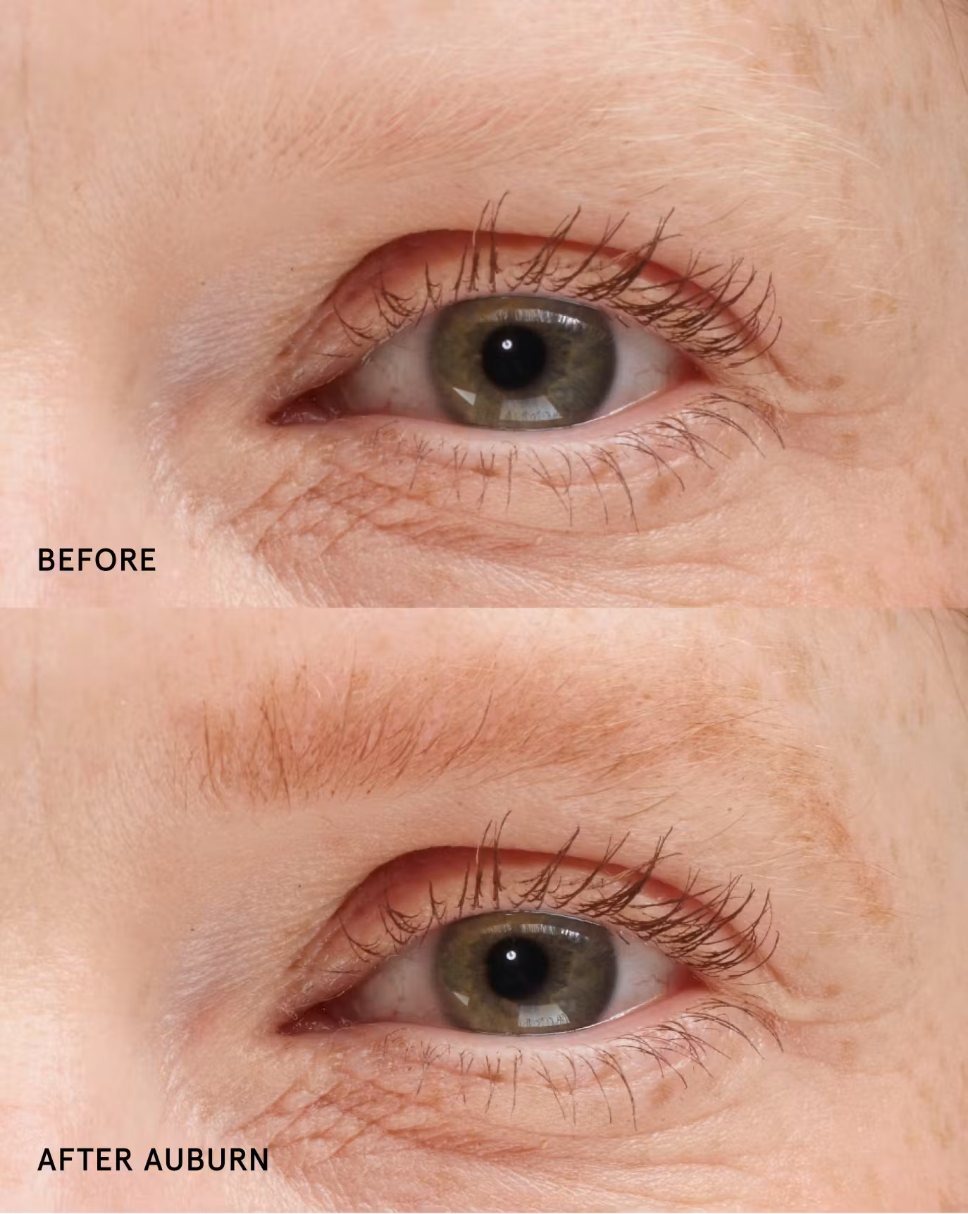 Glossier Boy Brow - Auburn