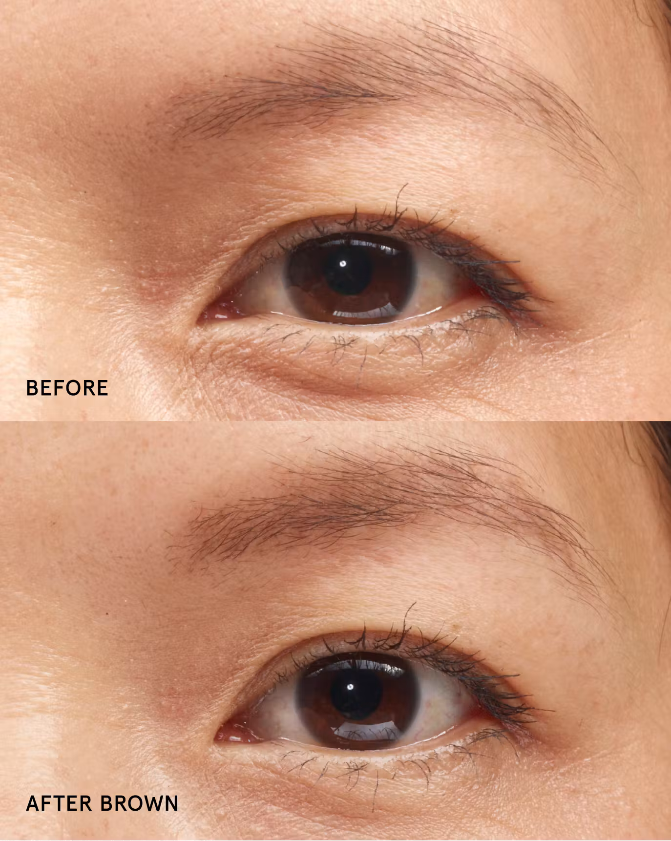 Glossier Boy Brow - Brown