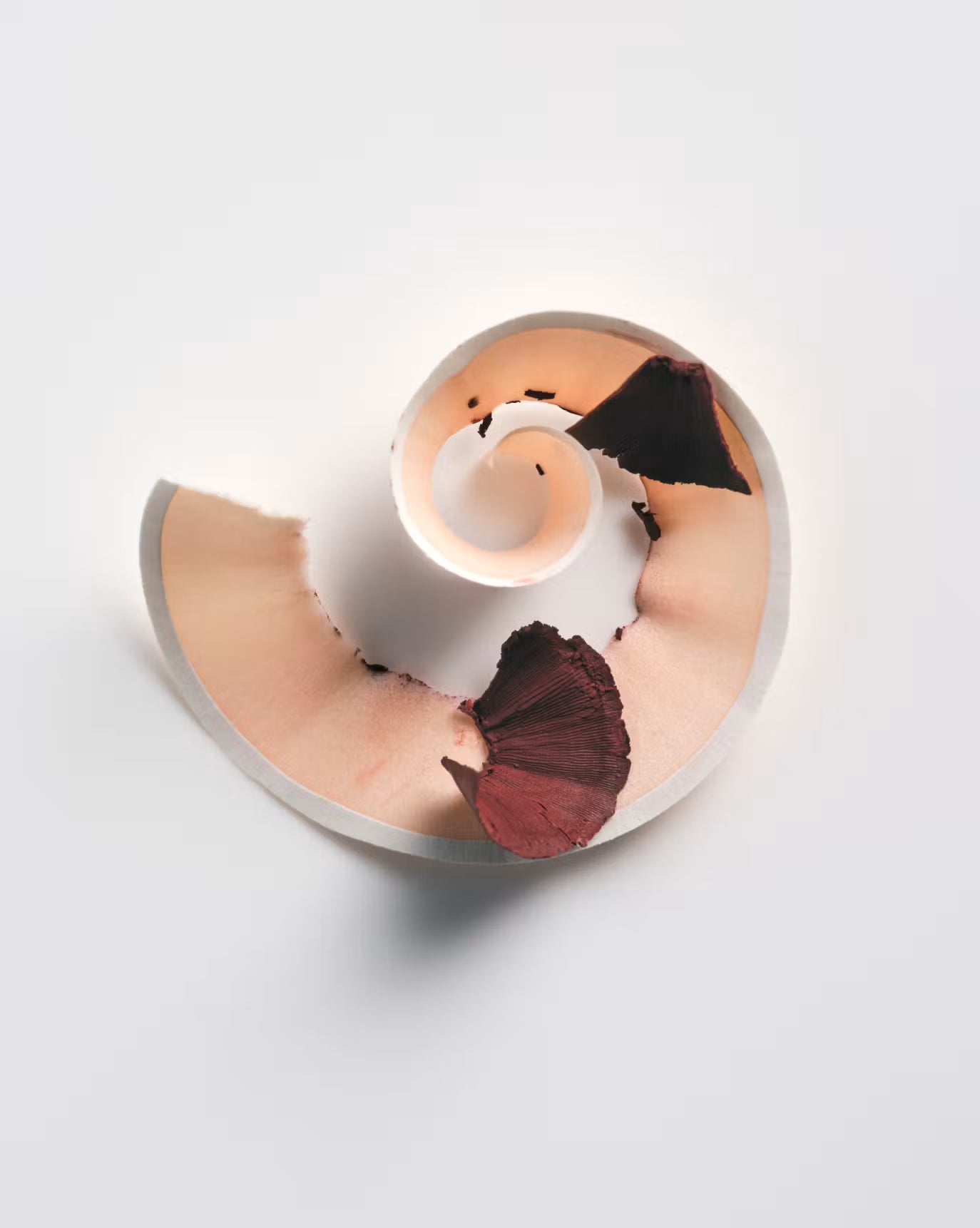 Glossier Lip Line - Flush