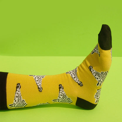 Astro Socks Zarty the Zebra Crew Socks