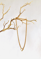 Michelle Alexnader 'Blair' Chain Necklace